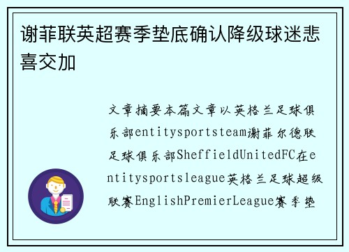 谢菲联英超赛季垫底确认降级球迷悲喜交加 谢菲联英超赛季垫底确认降级球迷悲喜交加